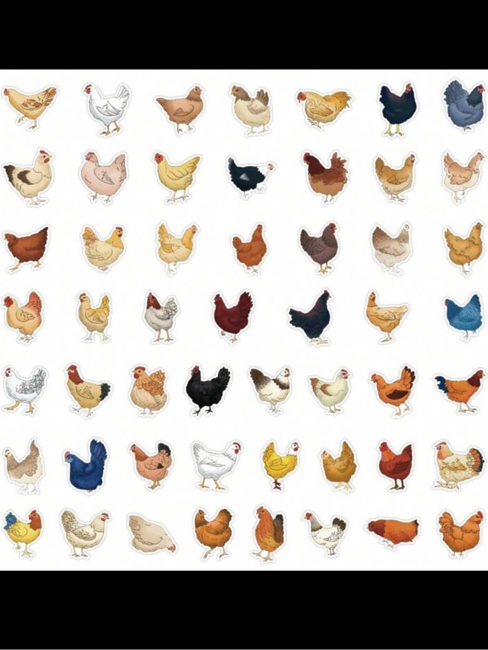 New! Large Chicken Sticker Pack of 25 Individual Stickers Multi-Color Assortment - Picture 4 of 11